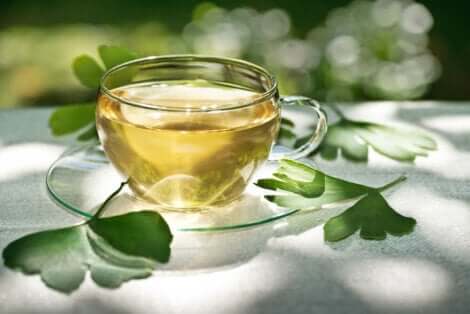 Infuso di ginkgo biloba per dire addio allo stress.