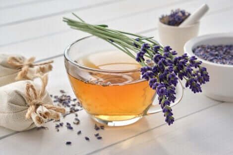 Infuso di lavanda per dire addio allo stress.