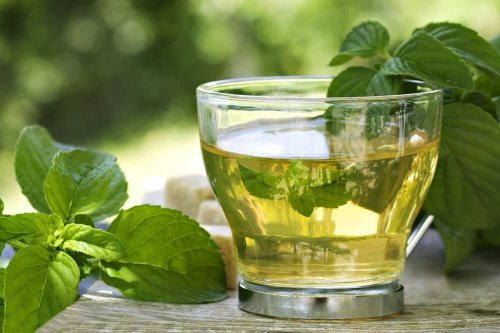 infuso di menta poleggio