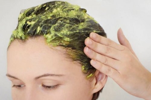 Maschera per capelli all'avocado
