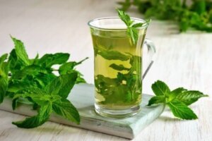 Menta poleggio, benefici e tanto altro