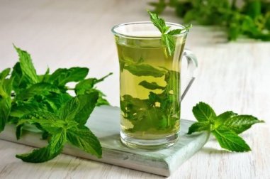 Menta poleggio, benefici e tanto altro
