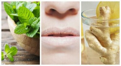 Bocca secca: 5 rimedi naturali