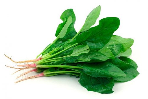 Spinaci contro la stanchezza cronica