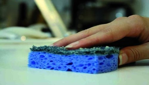 Batteri nella spugna