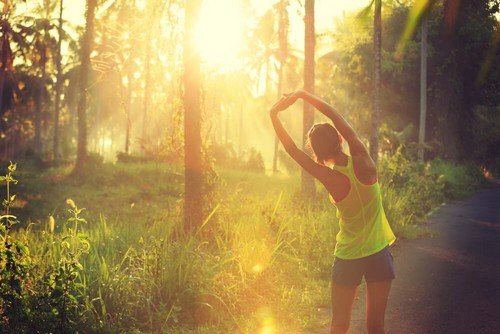 Routine di stretching