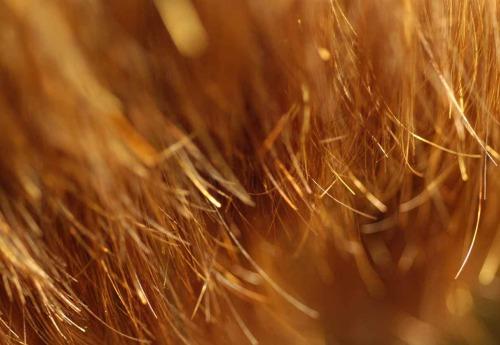 Trattamenti per doppie punte