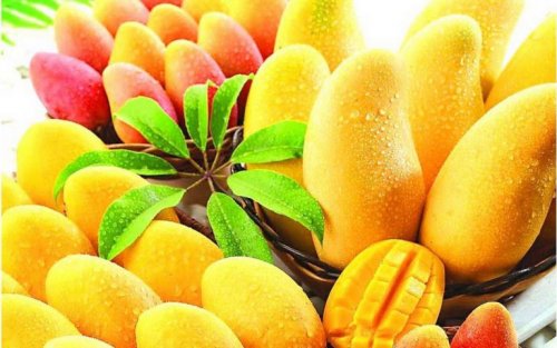 Cestino di frutti di mango
