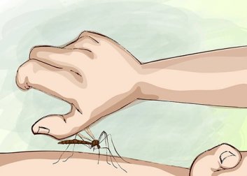 Punture di zanzara: come evitarle durante il sonno