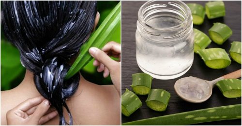 Aloe vera per idratare i capelli.