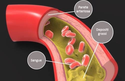 colesterolo nel sangue