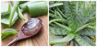 Benefici dell'aloe vera per la salute