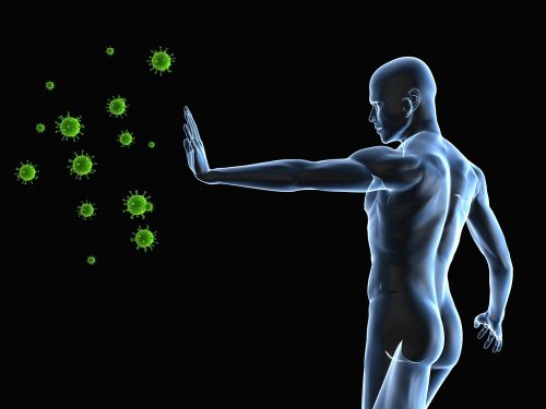 Sistema immunitario contro i virus