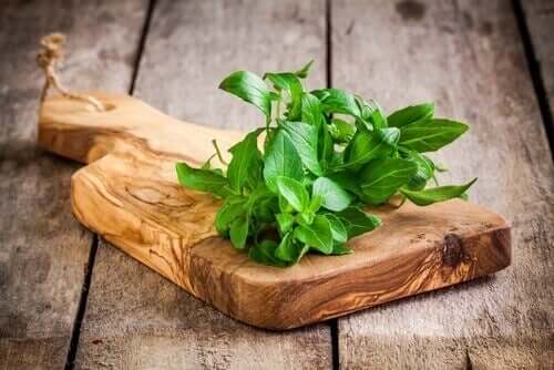 Tagliere con basilico fresco.