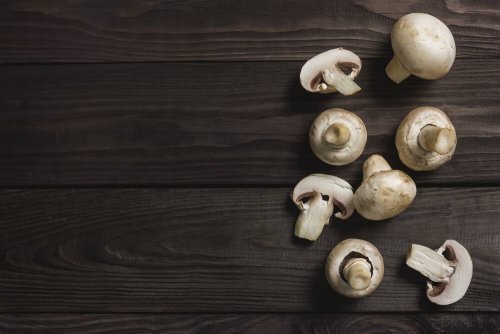 Funghi coltivati