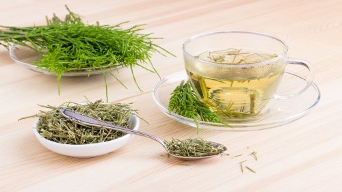 Infuso di equiseto tra le piante che aiutano a dimagrire