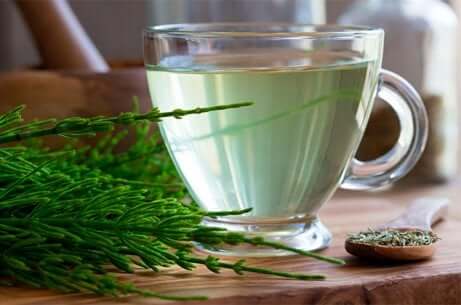 Equiseto e tè verde.
