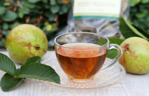 Infuso di foglie di guava.