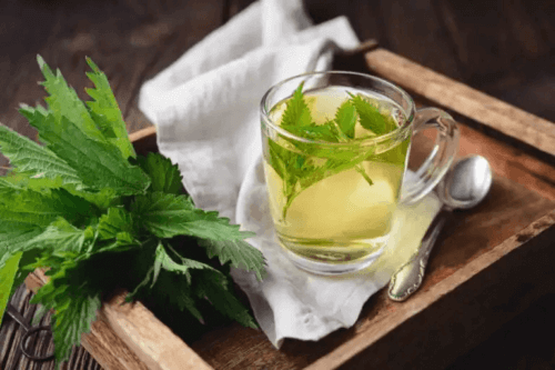 Combattere l'ipertensione con 9 infusi di erbe