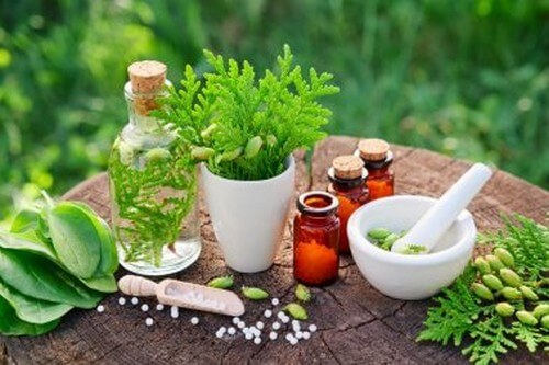 Curare il mal di stomaco con erbe medicinali