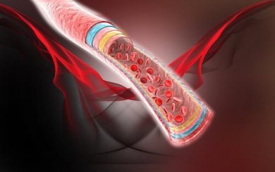 Cattiva circolazione sanguigna e rimedi naturali