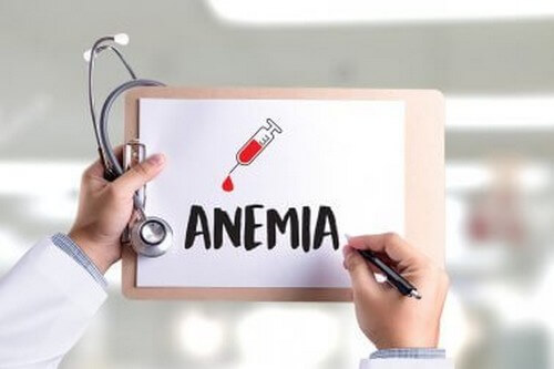 Dieta per l’anemia, i 10 alimenti che aiutano di più