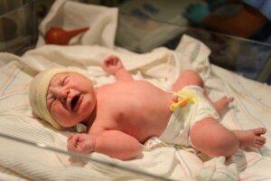 Patologie chirurgiche del neonato
