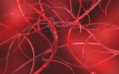 Sbloccare le arterie ostruite con rimedi naturali
