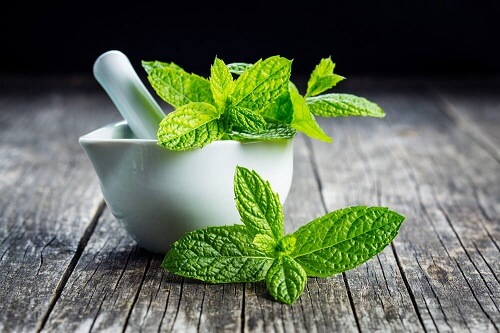 un mortaio bianco con foglie di menta