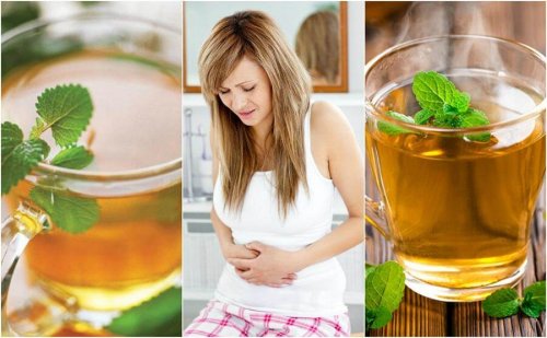 Menta per la digestione