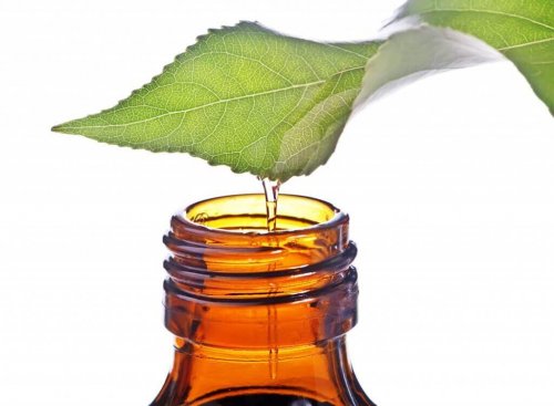 Olio di menta