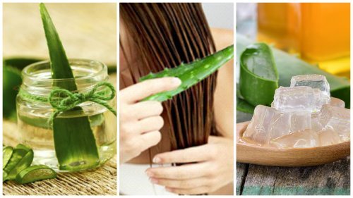 Aloe vera per i capelli