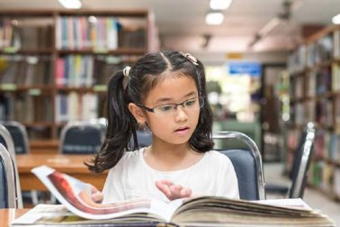 Plusdotazione intellettiva, 4 diversi tipi