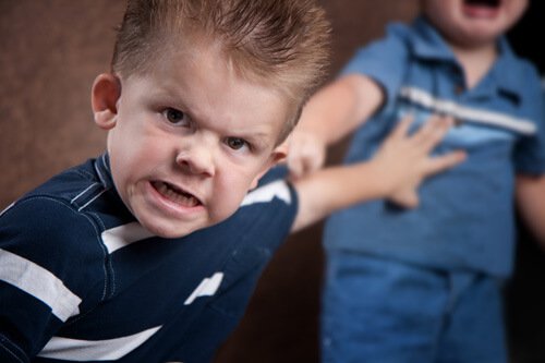 Bambino violento plusdotazione intellettiva