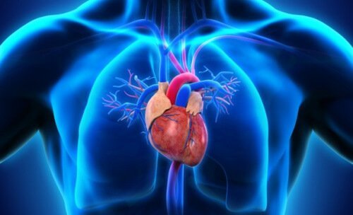 Fibrillazione atriale: cuore e polmoni.