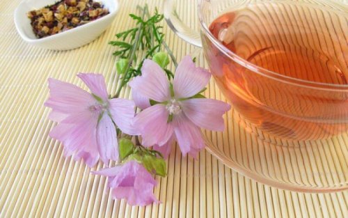 Rimedi natuarali per curare la micosi vaginale