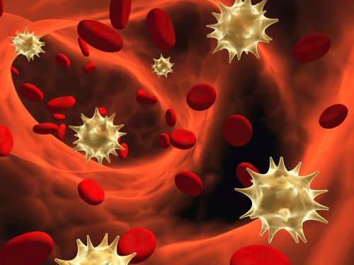 Immagine 3d del sangue
