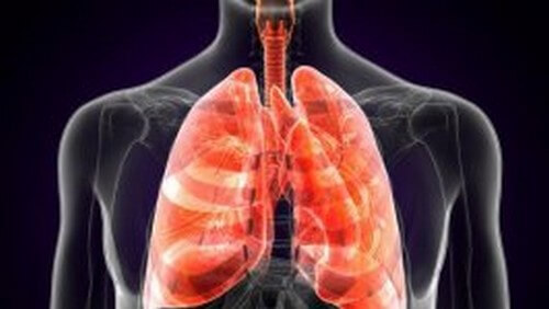 Peste polmonare: definizione e sintomi