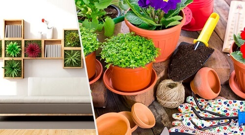 Decorare la casa con le piante: 10 idee originali