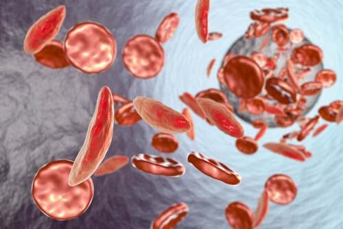 Si può prevenire l'anemia con alcuni almenti