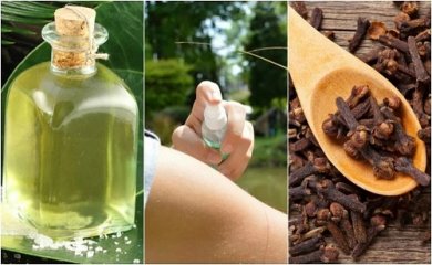 I 5 migliori repellenti casalinghi