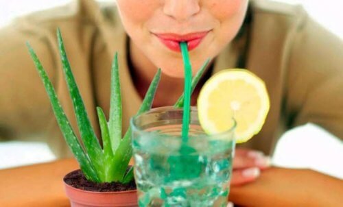 Spremuta realizzata con pianta di aloe vera