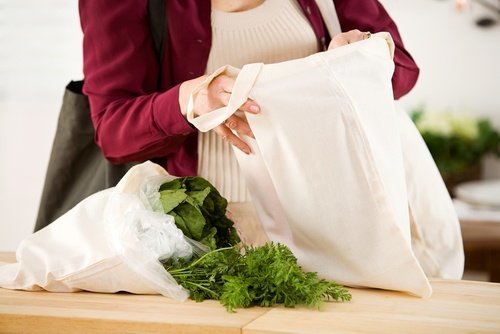 Borsa di stoffa per la spesa