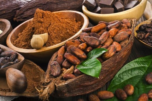 Cacao e flavonoidi