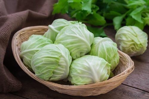 Cavolo verde