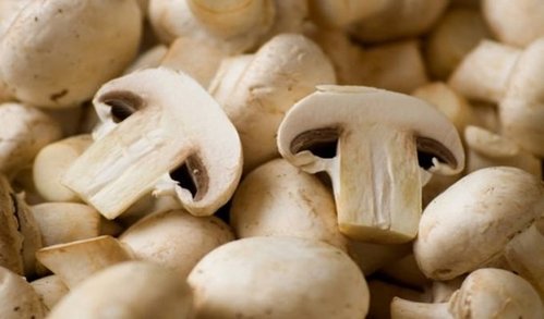 Piatti a base di funghi gustosi e nutrienti