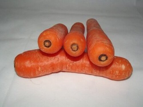 I benefici delle carote: quali vantaggi per l'organismo?