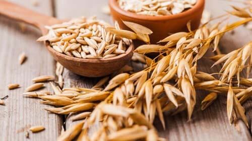 Tra i cibi ricchi di carboidrati c'è l'avena