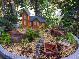 Creare un mini giardino: 6 fantastiche idee