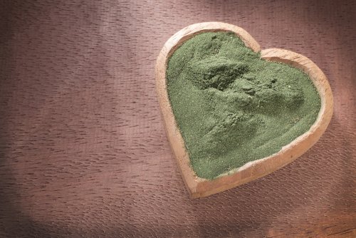 Spirulina in vaso a cuore